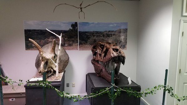Earth Experience - Middle Tennessee Museum of Natural History by null