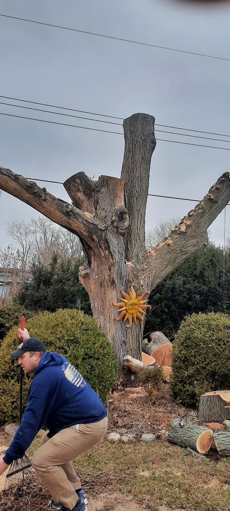 Blue Line Forestry - tree service in East Peoria, IL