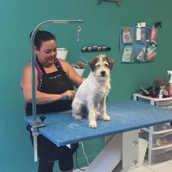 Serenity Pet Spaw - Pet Groomers Near Me - San Diego, California
