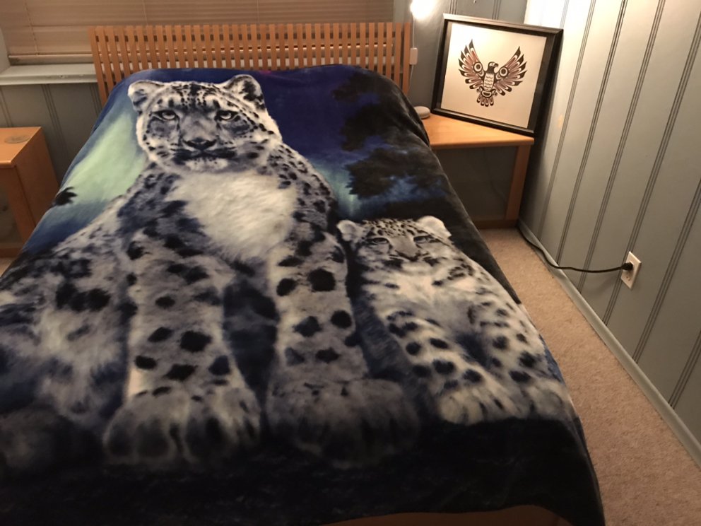 MIDLAND TARP ZONE Updated August 2024 424 Terminal Avenue N