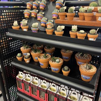 Gates Pass by Hudson - 03/21/2025 cactus's - Gift Shops Near Me - Tucson, Arizona