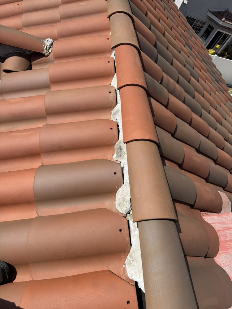 Slide of Carlos Martinez 