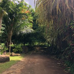Beautiful driveway to the massage clinic