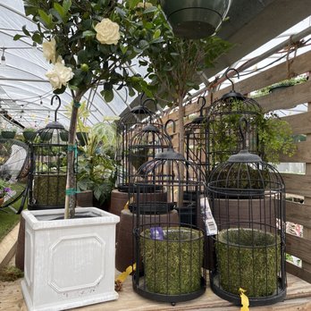 Digger O'Dell Nurseries - Nurseries & Gardening Near Me - Arlington, Tennessee Digger O'Dell Nurseries - Nurseries & Gardening Near Me - Arlington, Tennessee