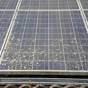 Solar Panel Cleaning Services - Lichen build-up on solar PV modules - Window Washing Near Me