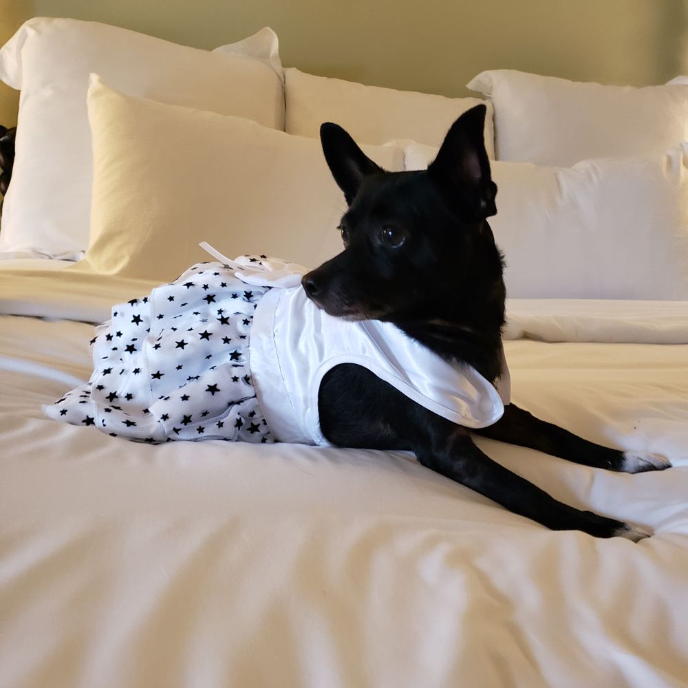 Kimpton Canary Hotel - Hotels Near Me - Santa Barbara, California