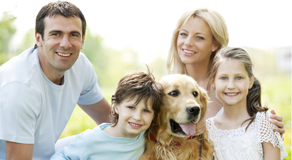 A-Plus Mechanical Services