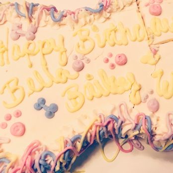The Dining Dog and Friends - Our dogs' birthday cake. I couldn't wait to cut into it!! - Pet Stores Near Me - Allentown, Pennsylvania The Dining Dog and Friends - Our dogs' birthday cake. I couldn't wait to cut into it!! - Pet Stores Near Me - Allentown, Pennsylvania