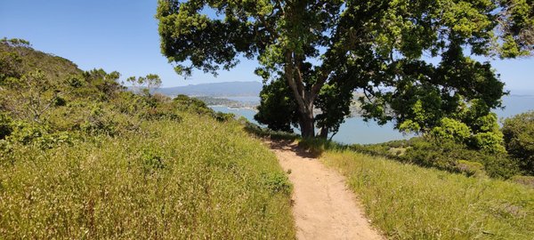 Angel Island by null