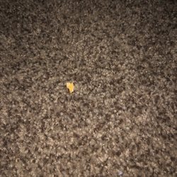Twain Harte Rentals - Chips on floor in master bedroom.