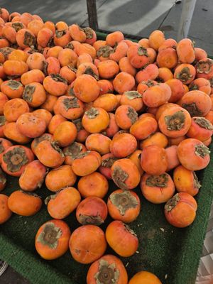 Montrose Farmers Market by null