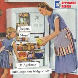 D1 Appliance Repair - Refrigerator Repair Crown Point, IN