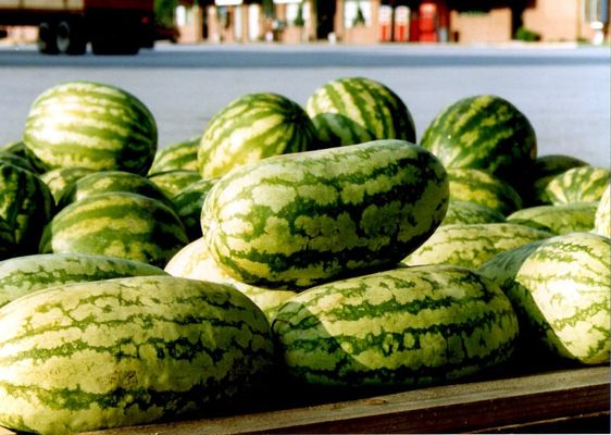 Savannah State Farmers Market by null