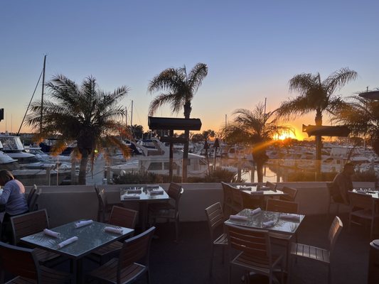 Roy's Restaurant by null