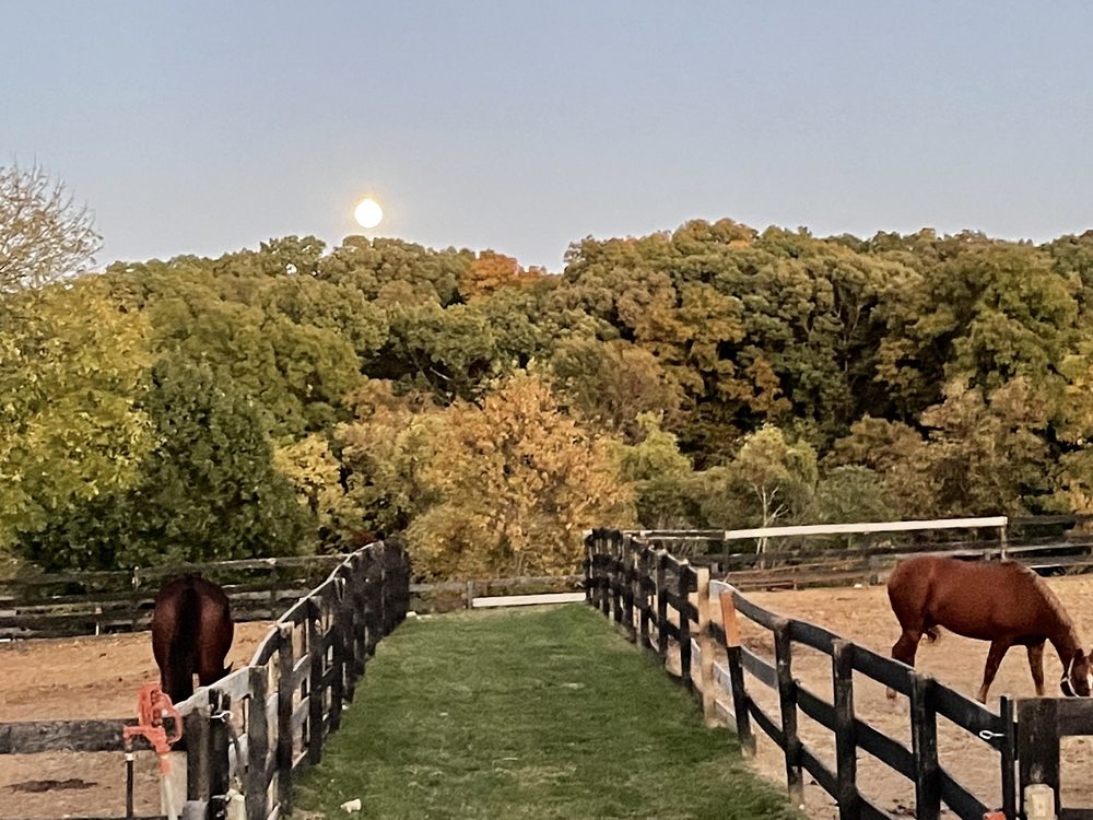 Baskin Farm - equestrian in Glencoe, MO