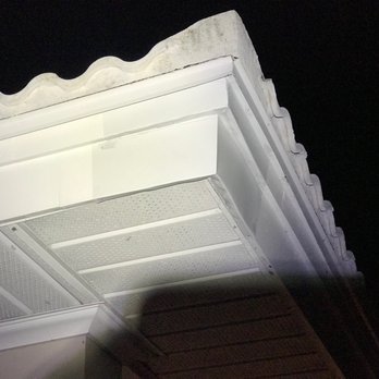 Wildlife Control - Robert then cleaned up and sealed it off. It was perfectly done - Pest Control Near Me Wildlife Control - Robert then cleaned up and sealed it off. It was perfectly done - Pest Control Near Me