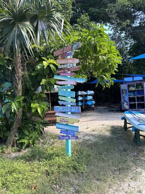 Maho Bay Beach by null