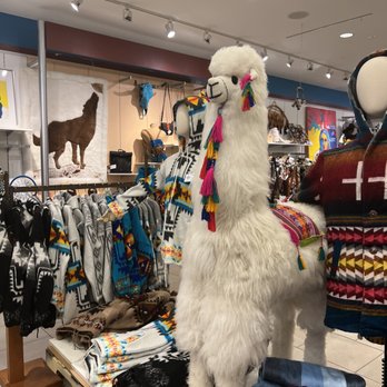 NTVES - Women's Clothing Near Me - Novi, Michigan