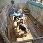 Photo of Atlantic City 24 Hour Pet Hotel & Grooming
