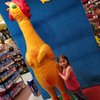 Rubber Chicken Museum gift card