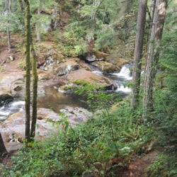 Pack Forest Fall Trail