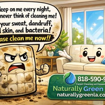 Naturally Green Cleaning - Carpet Cleaning Near Me - Van Nuys, California Naturally Green Cleaning - Carpet Cleaning Near Me - Van Nuys, California
