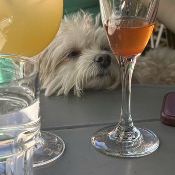 Follia - Wine Bars Near Me - New York, New York