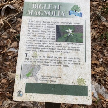 Historic Blakeley State Park - Parks Near Me - Spanish Fort, Alabama