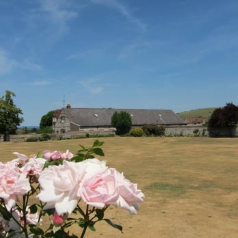 Lewes Castle & Museums - pretty garden and roses - Landmarks & Historical Buildings Near Me - Lewes, ESX
