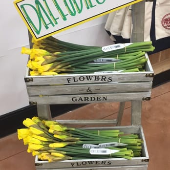 Trader Joe's - How fun! - Grocery Near Me - Dallas, Texas Trader Joe's - How fun! - Grocery Near Me - Dallas, Texas