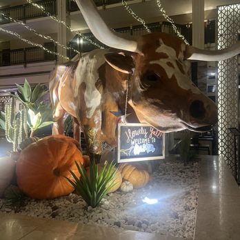 Renaissance Austin Hotel - Hotels Near Me - Austin, Texas