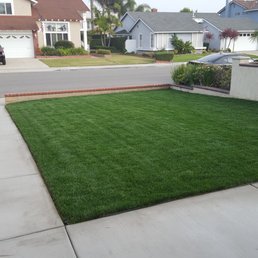 4 Weeks after Installation and 1st Mowing 4 Weeks after Installation and 1st Mowing