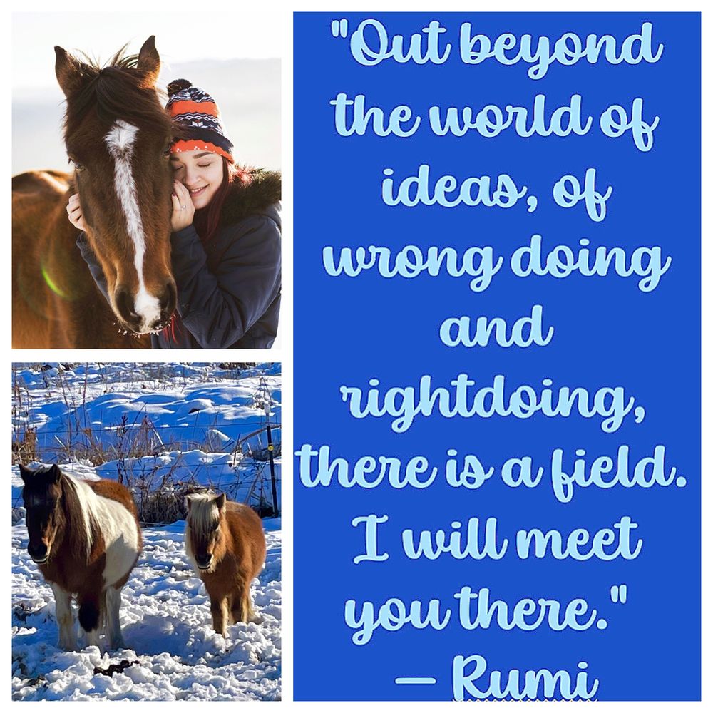 Mindful Stridz - grief counselor in Longmont, CO