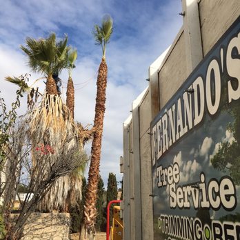 Fernando's Tree Services - Tree Services Near Me - San Bernardino, California Fernando's Tree Services - Tree Services Near Me - San Bernardino, California