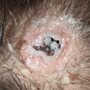 Photo of Suncoast Skin Solutions