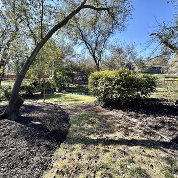 Tellez Landscapes - Landscaping Near Me