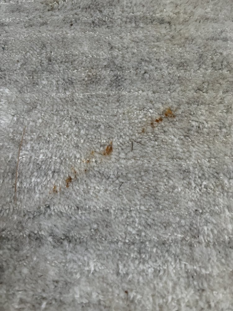 RUG PROFESSIONALS Updated August 2024 32 Photos 515 Shoemaker Rd, King of Prussia