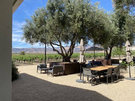 Biddle Ranch Vineyard by null
