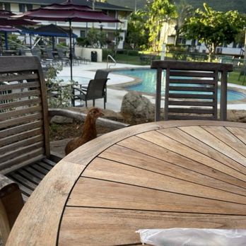 The Kauai Inn - Hotels Near Me - Lihue, Hawaii The Kauai Inn - Hotels Near Me - Lihue, Hawaii