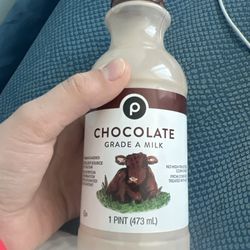 Publix Super Markets - Chocolate milk
