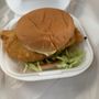 Photo of Flash In The Pan