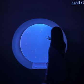 Monterey Bay Aquarium - Aquariums Near Me - Monterey, California