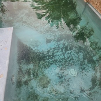 The Pool Company - This is his handiwork and this is after another company tried to clean it up. It will need to be drained and acid washed again. - Pool Cleaners Near Me The Pool Company - This is his handiwork and this is after another company tried to clean it up. It will need to be drained and acid washed again. - Pool Cleaners Near Me