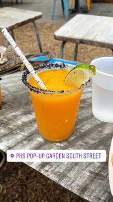 PHS Pop Up Garden at South Street by null