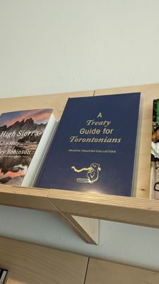 Flying Books by null