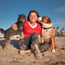 Pet Waggin' Pet Care - Fun at the beach with Scout and Pancho