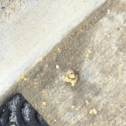 The dime sized hole that didn't get filled The dime sized hole that didn't get filled