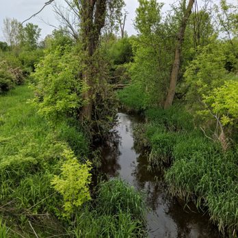 Woolley Park - Parks Near Me - Ann Arbor, Michigan