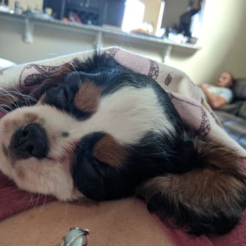 Pet Ranch - Pet Stores Near Me - Thornton, Colorado Pet Ranch - Pet Stores Near Me - Thornton, Colorado