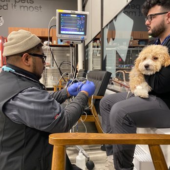 VEG ER for Pets - Emergency Pet Hospital Near Me - White Plains, New York VEG ER for Pets - Emergency Pet Hospital Near Me - White Plains, New York